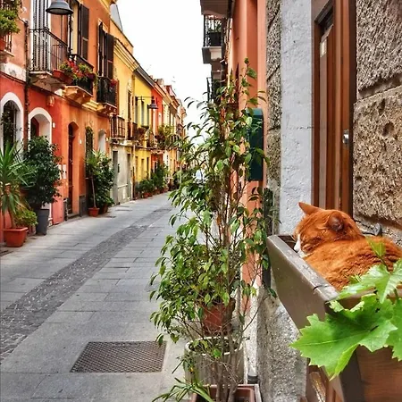 Daire Mirti Boutique Heart Cagliari